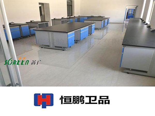 山東恒鵬衛(wèi)生用品有限公司實(shí)驗(yàn)室家具安裝現(xiàn)場